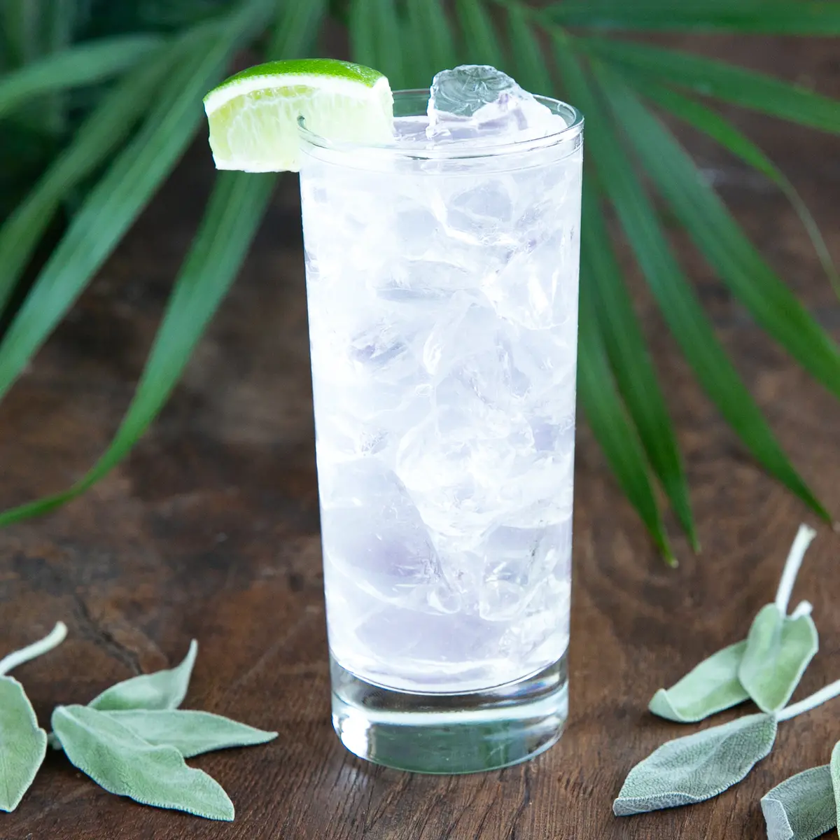 Pineapple Sage Vodka Still Capsules 3