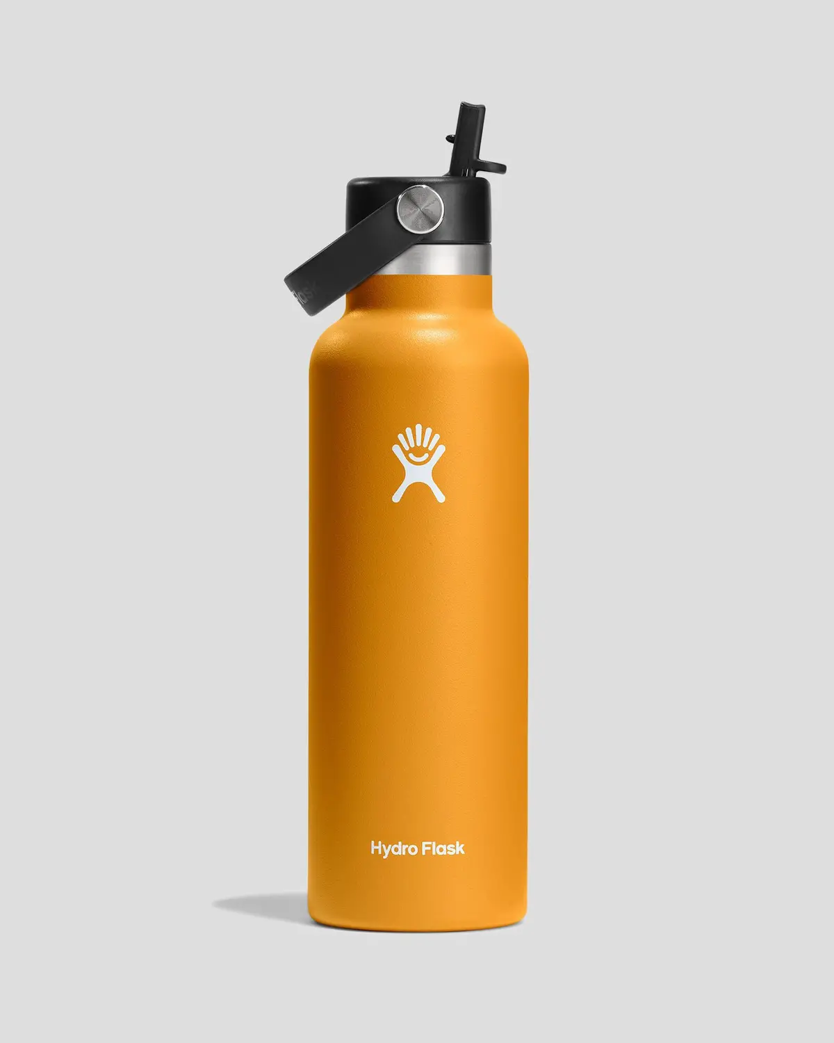 Hydro Flask Flex Straw Bottle 621 Ml - Fossil 1