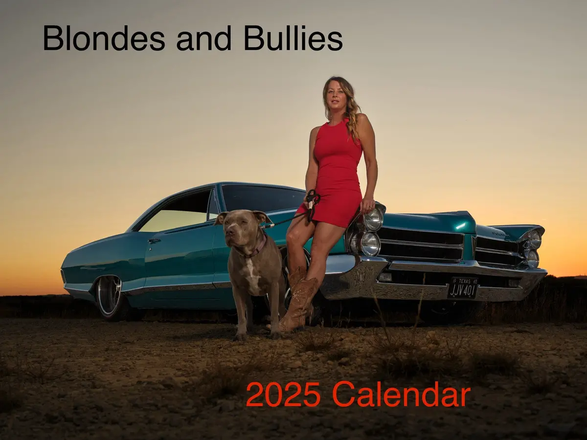 2025 Calendar Blondes And Bullies 1